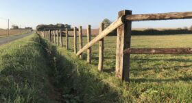 Moutons-Gloutons : l’expert en pose de clôture